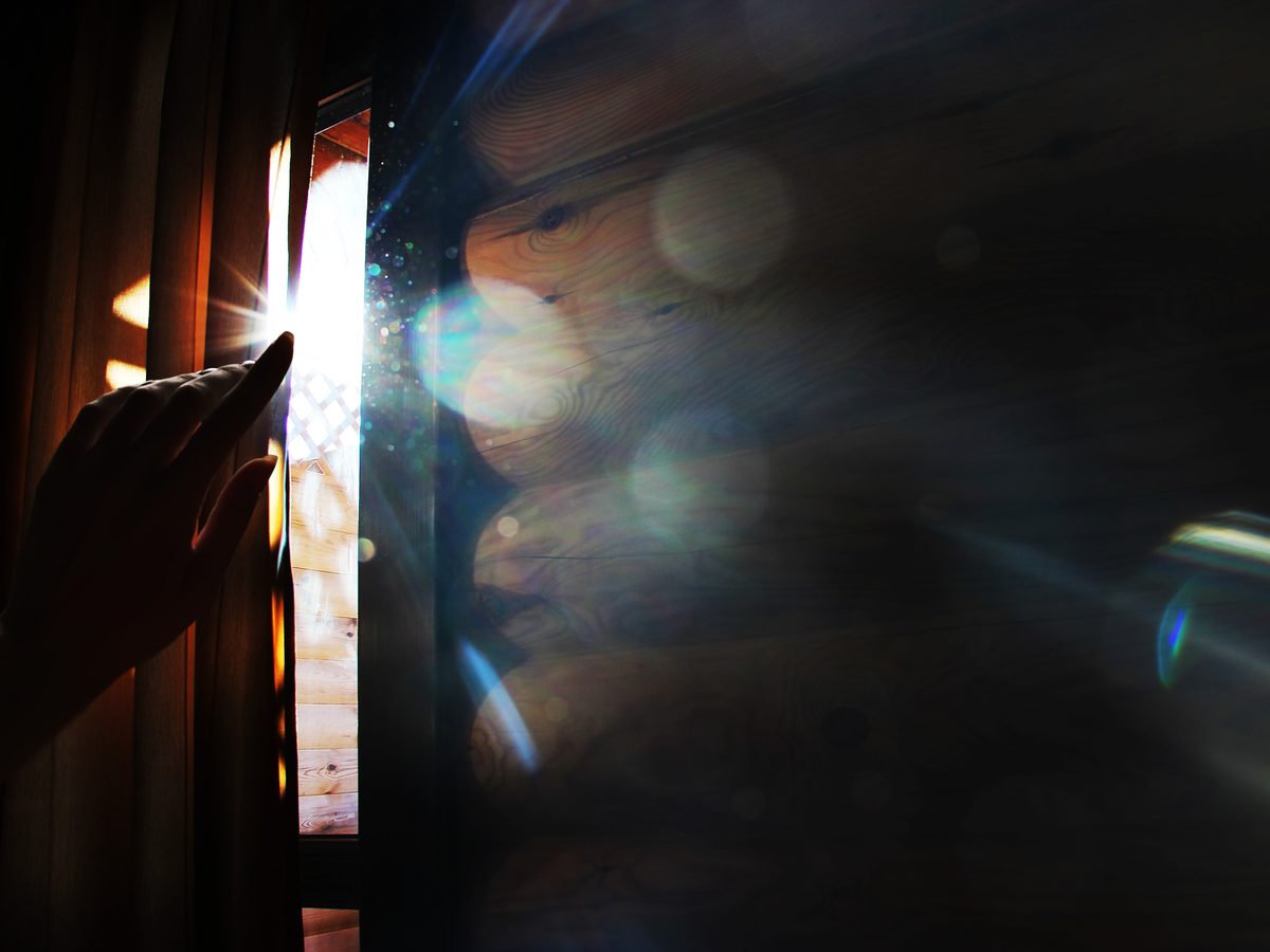 The liminal window — the threshold moment where category authority is available to whoever moves first